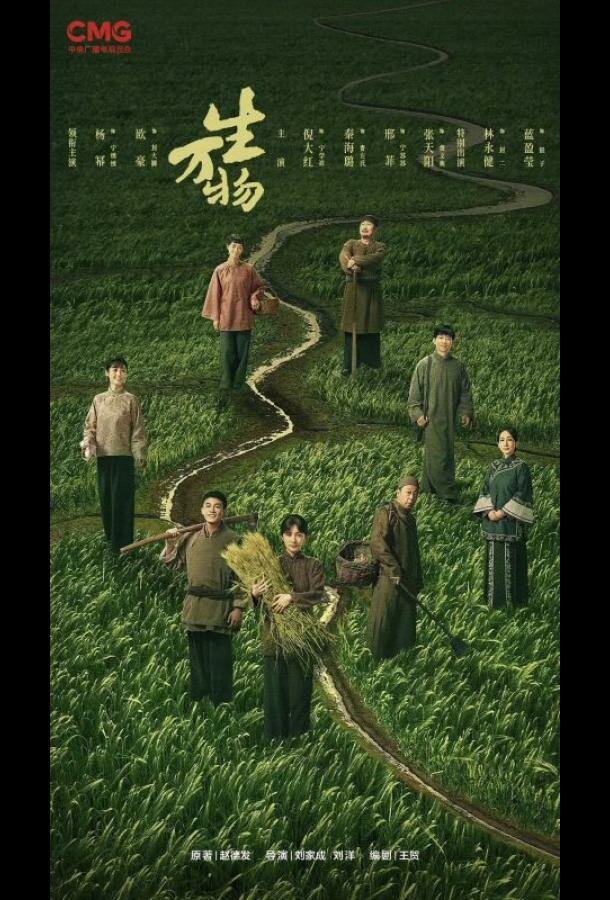 Процветающая земля