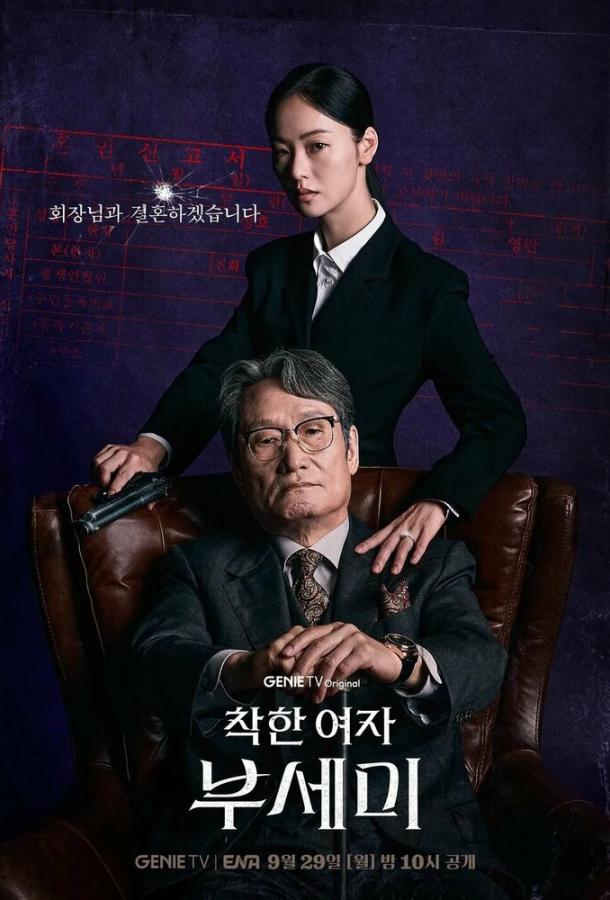 Госпожа Инкогнито / Хорошая женщина Бу Се Ми